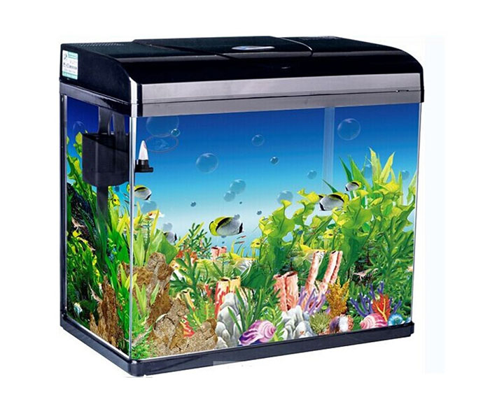 Curved Modern Bar Counter Aquarium Fish Tank