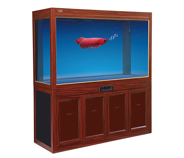 Arowana Large Glass Fish Tank