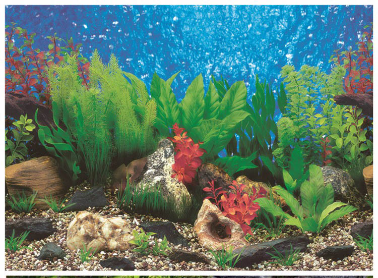 aquarium background paper