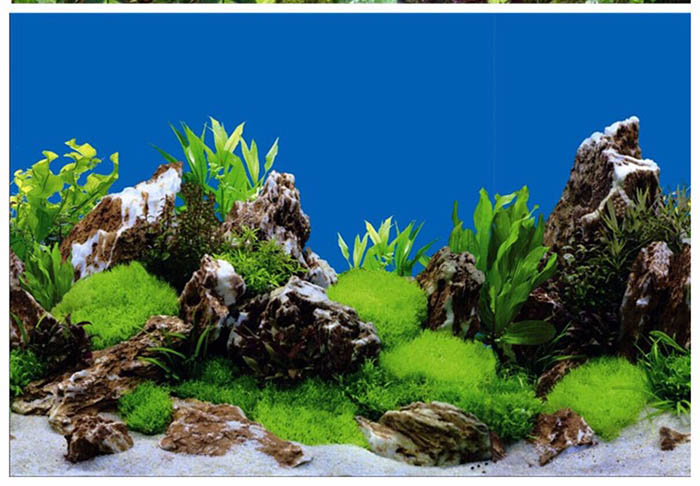 Double Single Side Aquarium Fish Tank Decorative Aquarium Background Paper