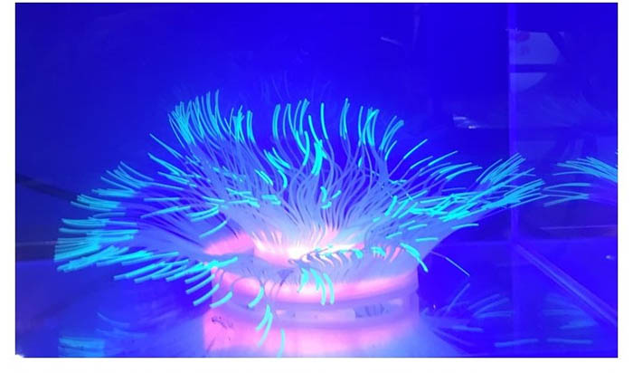 Fish Tank Artificial Plants Personalized Aquarium