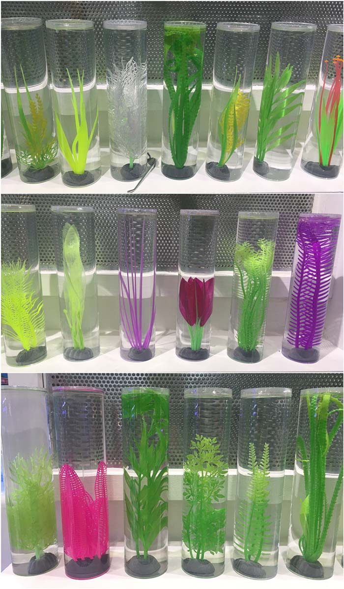 personalized fish tank decorations