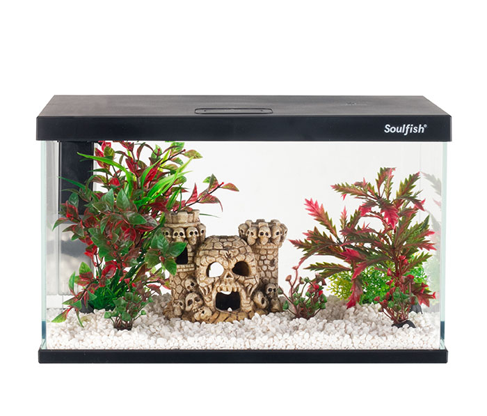 2024 New Fighting Fish Tank