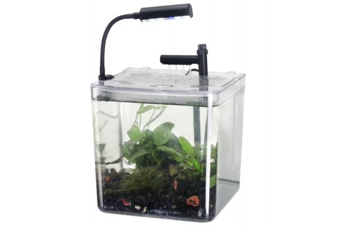 Modern Bar Small Square Tank