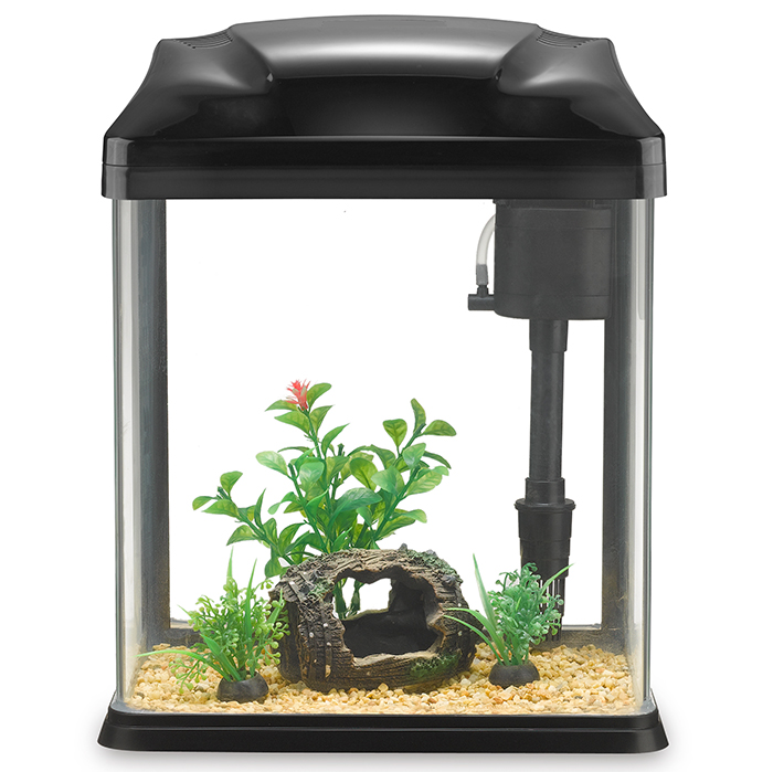 New Fish Tank