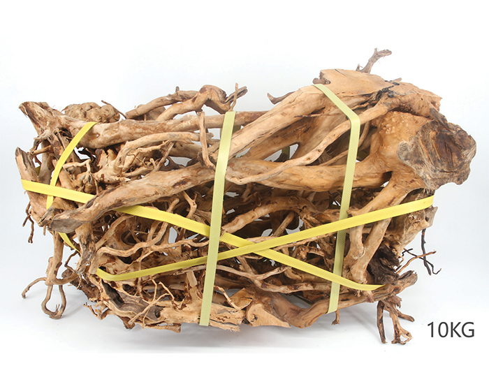 Fish tank decoration-Azalea root