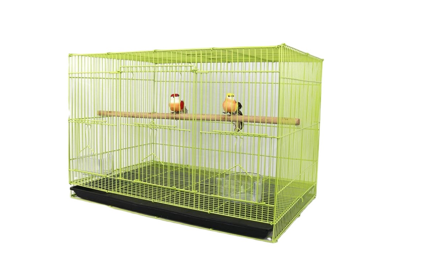 Birdcage