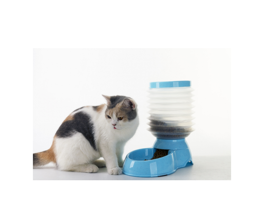 Folding water/feeder