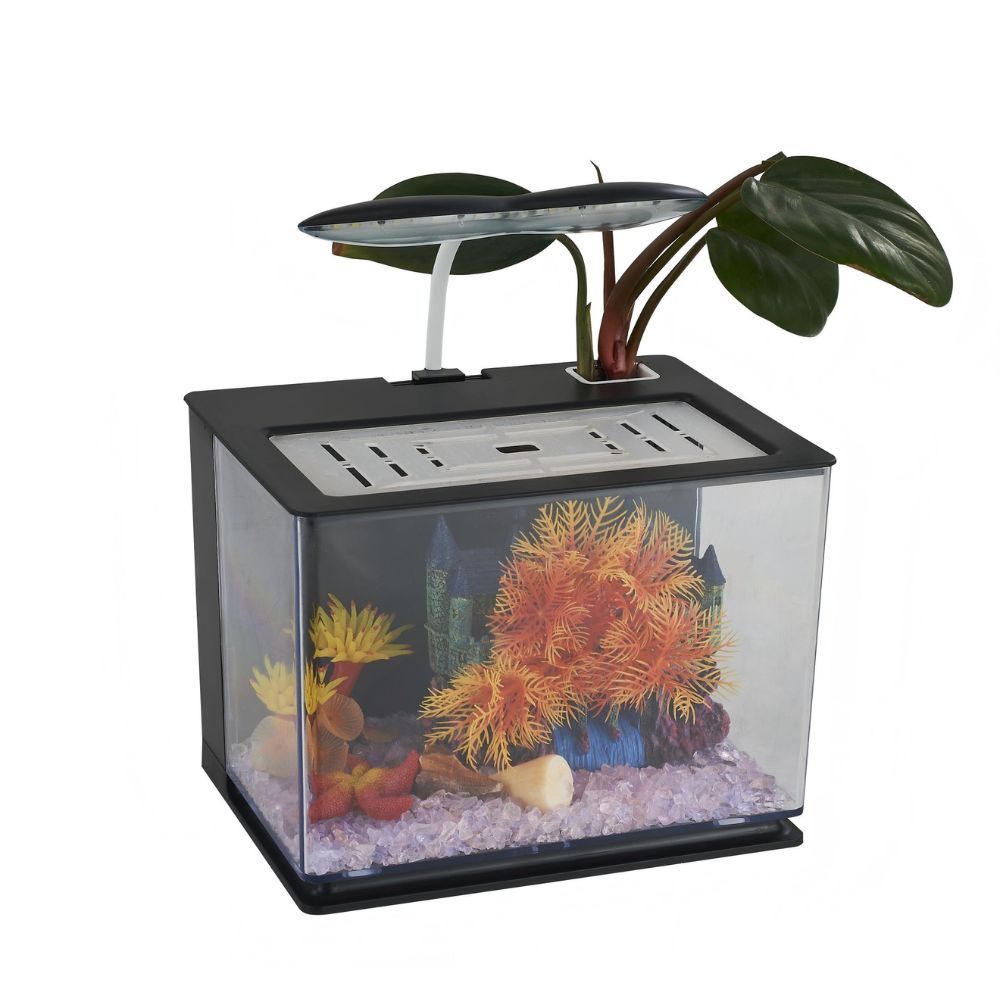 Large Betta Fish Tank with LED Light – Spacious Aquarium Habitat for Betta