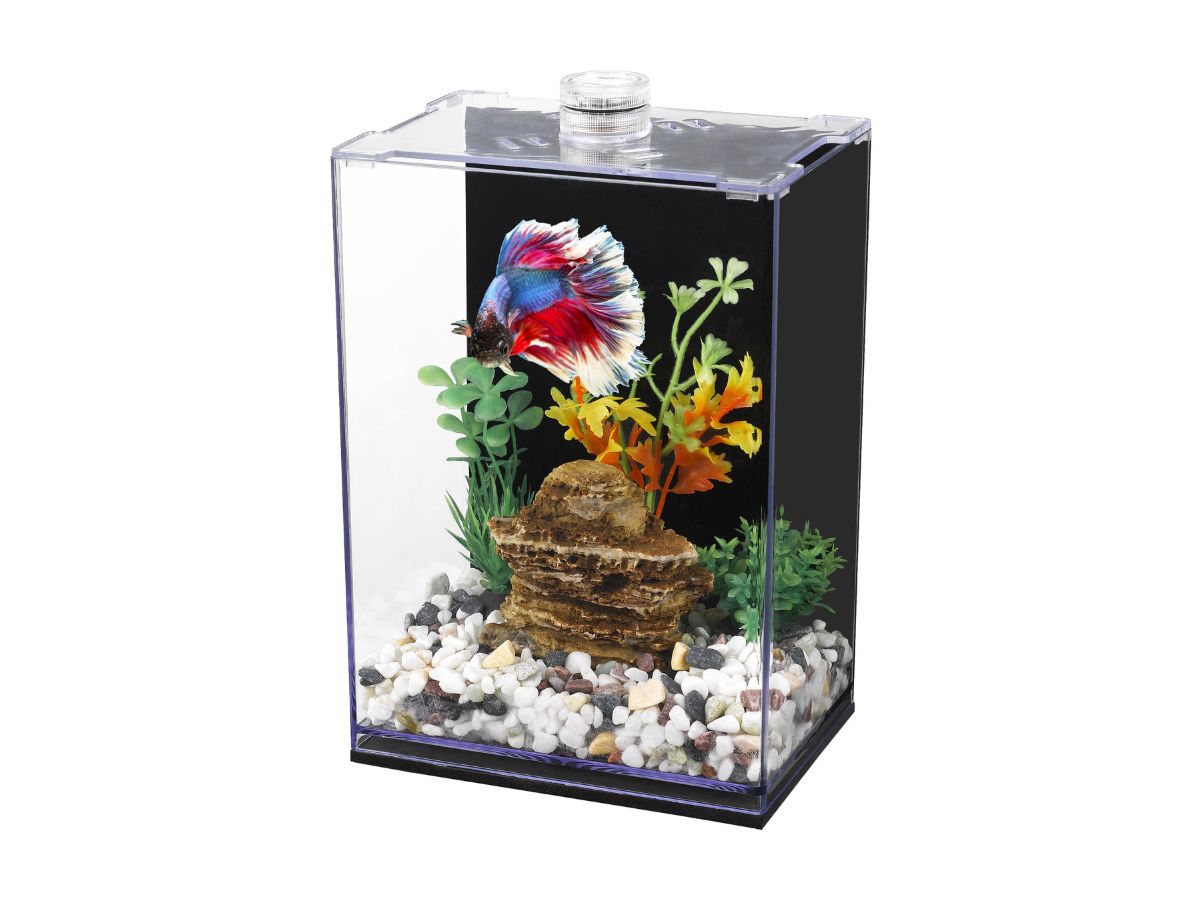 Betta Habitat Acrylic Fish Tank Eco Friendly and Durable Aquarium for Betta Fish Betta Habitat Acrylic Fish Tank Eco Friendly and Durable Aquarium for Betta Fish