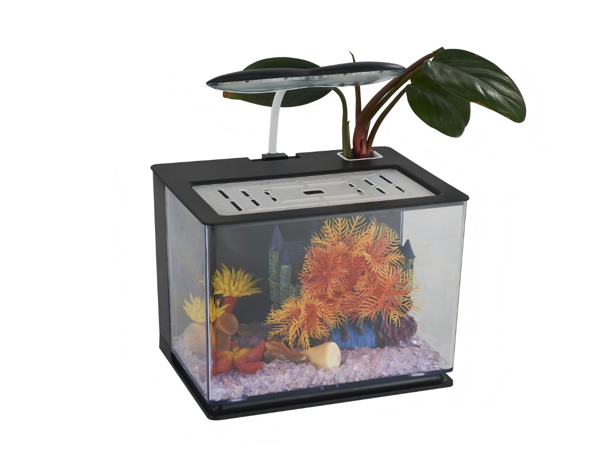 Large Betta Fish Tank with LED Light – Spacious Aquarium Habitat for Betta Large Betta Fish Tank with LED Light – Spacious Aquarium Habitat for Betta