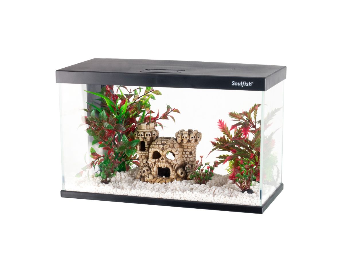 2024 New Fighting Fish Tank 2024 New Fighting Fish Tank