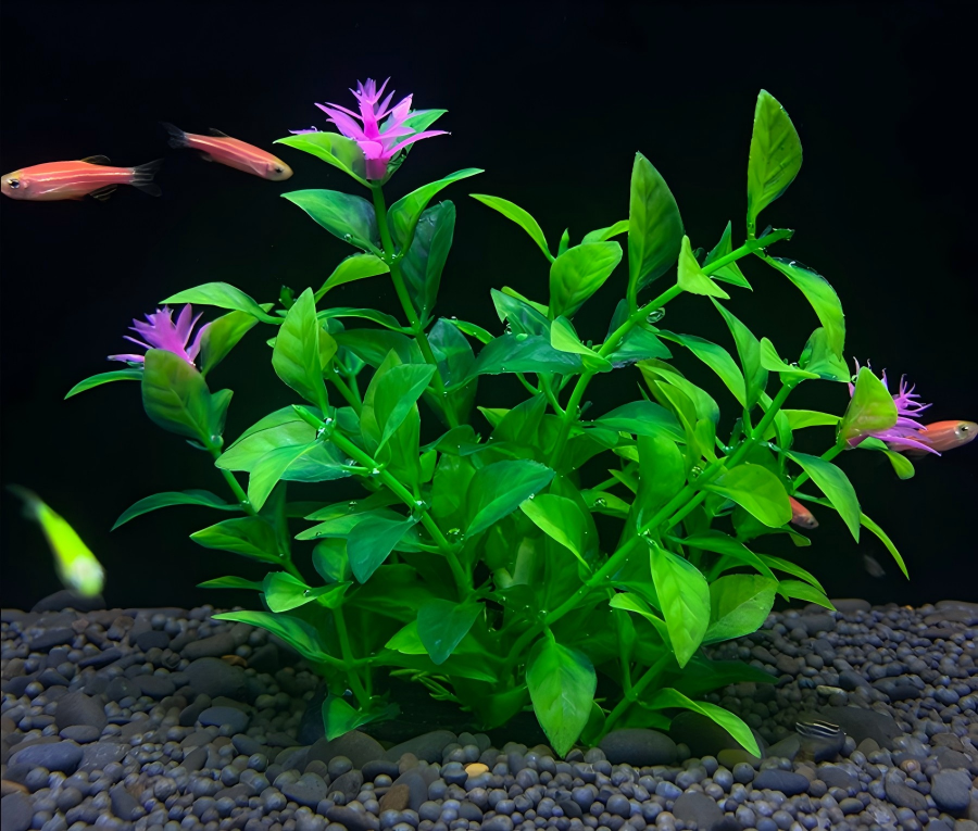Plastic water plants-M4 series