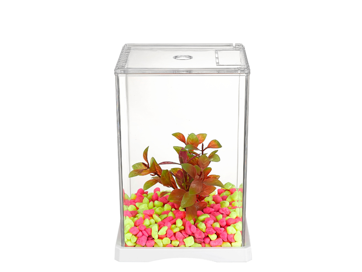 Betta Habitat Betta Habitat