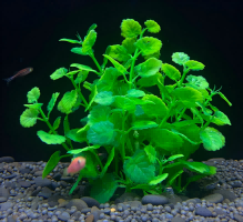 Plastic water plants-M4 series