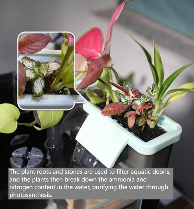 带植物的鱼缸过滤器2.jpg