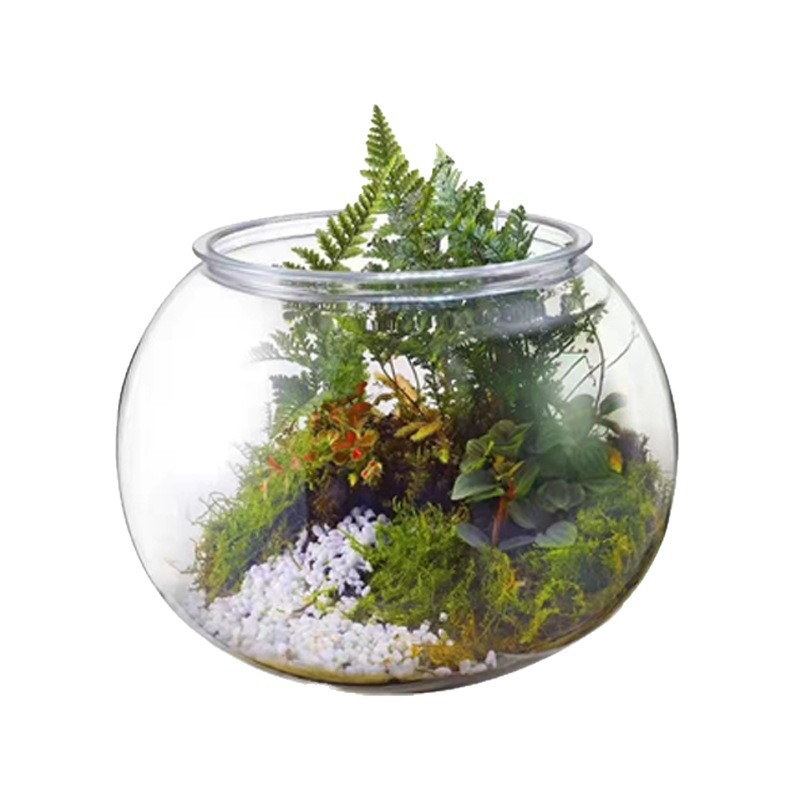 Fish Bowl Tank Set2.jpg Fish Bowl Tank Set2.jpg