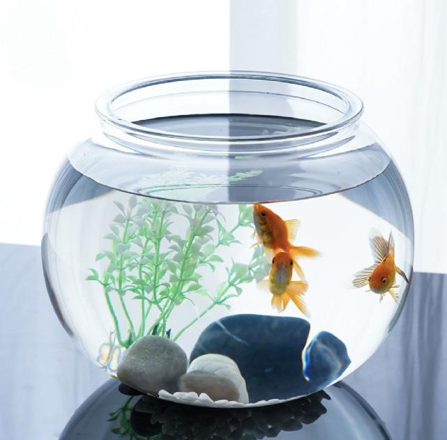 Fish Bowl Tank Set4.jpg Fish Bowl Tank Set4.jpg